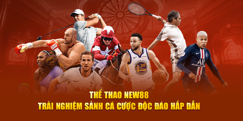 thể thao New88